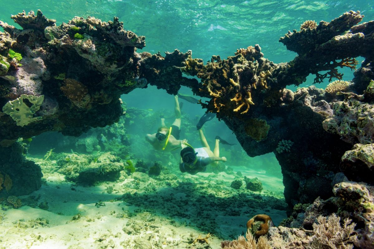 gran barrera del corall