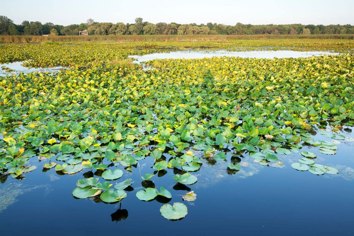 parc nacional de peles