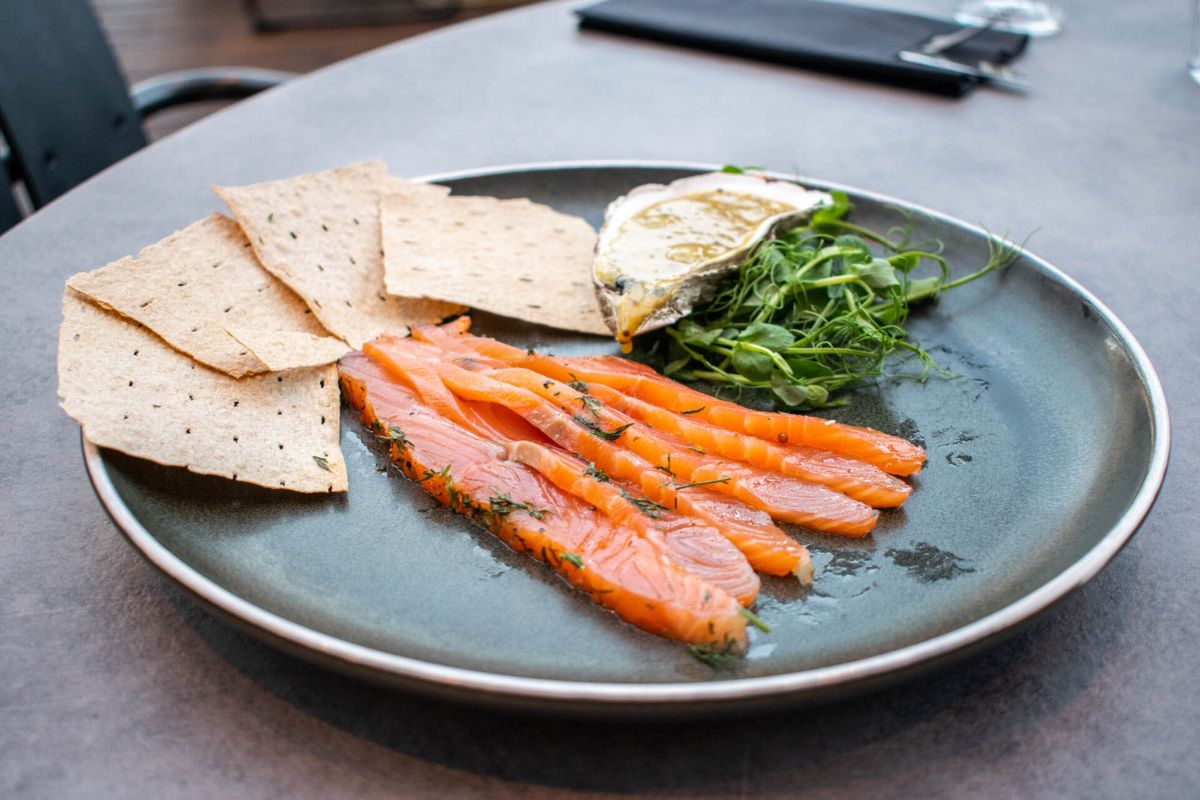 salmon