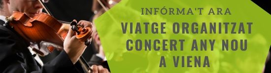Oferta viatge organizatzat concert any nou viena