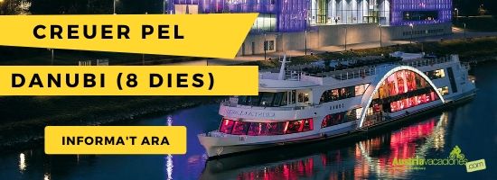 Oferta creuer pel Danubi