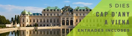 Cpa d'any viena