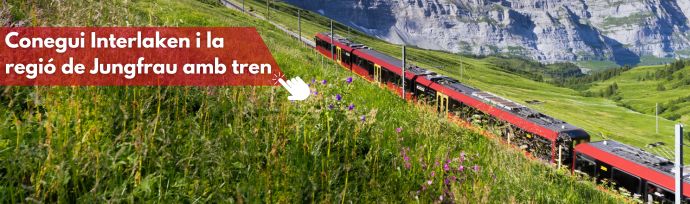 Imatge "Conegui Interlaken i la regió de Jungfrau amb tren"