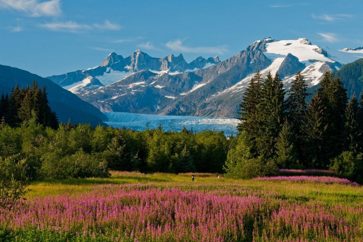 Viaje a Alaska en crucero ¿Qué visitar? Viatges Alemany