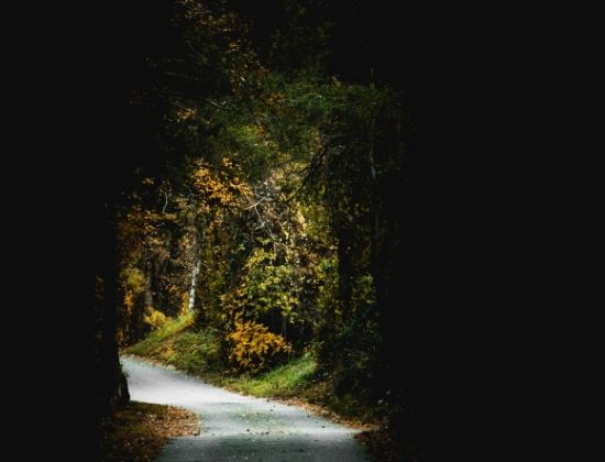 Pfynwald, en la ruta del ródano