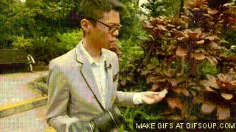 falling camera