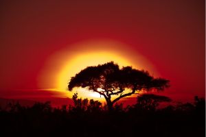 África