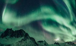 aurores a senja