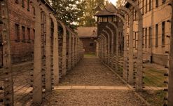 auschwitz 1