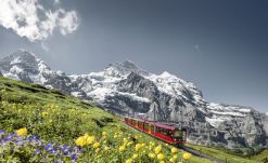 Tren de montaña Jungfrau