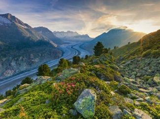 Glaciar Aletsch