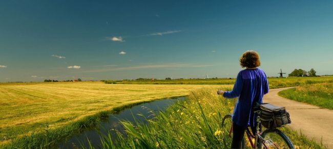 frisia