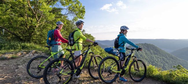 Familia en bici por Alemania