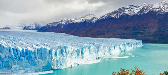 el calafate