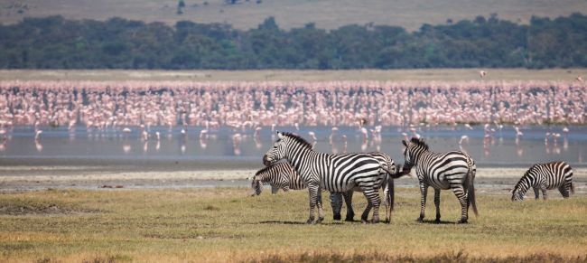 tanzania