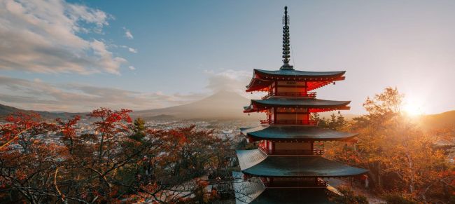 japan momiji