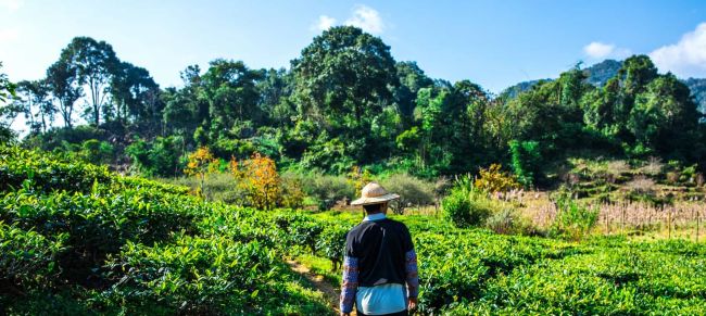 vietnam i cambodja