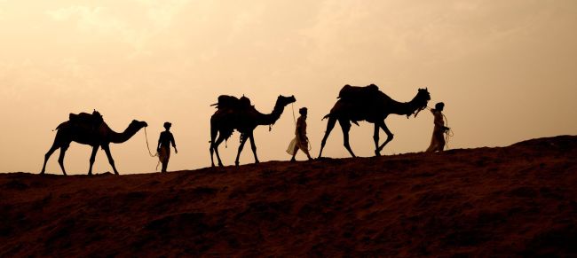 reis de l'orient