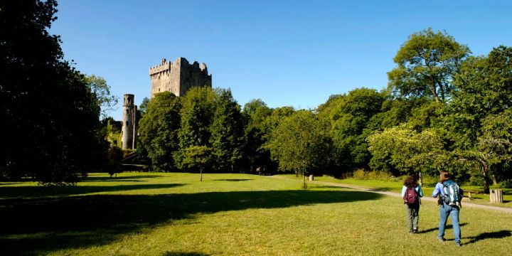 castell irlanda