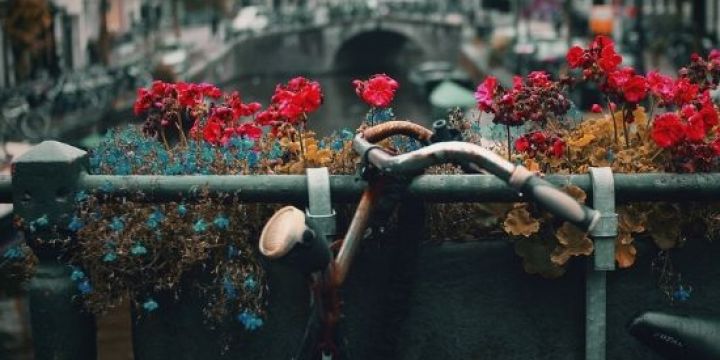 En Amsterdam la bicicleta es el primer medio de transporte