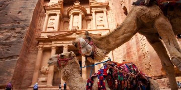 camels-petra-jordan_67981_990x742
