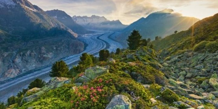 Glaciar Aletsch