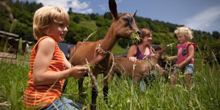 Un viaje al Tirol con niños