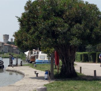 El canal du midi en bici