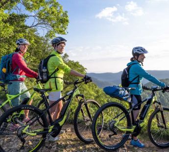 Familia en bici por Alemania