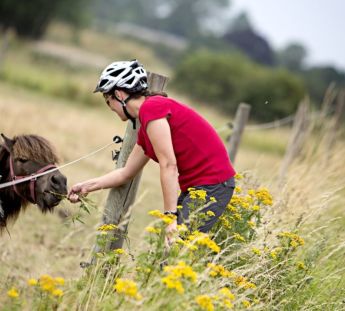 Ruta en bici por Dinamarca