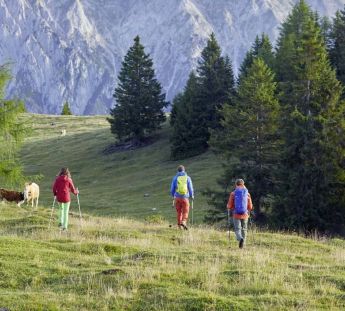 Caminando por el Tirol