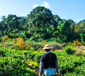 vietnam i cambodja